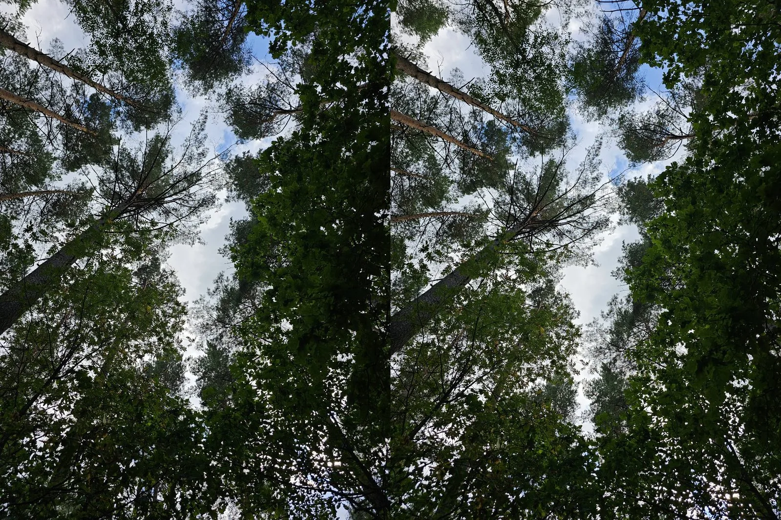 Užfiksuota su Galaxy S23 Ultra