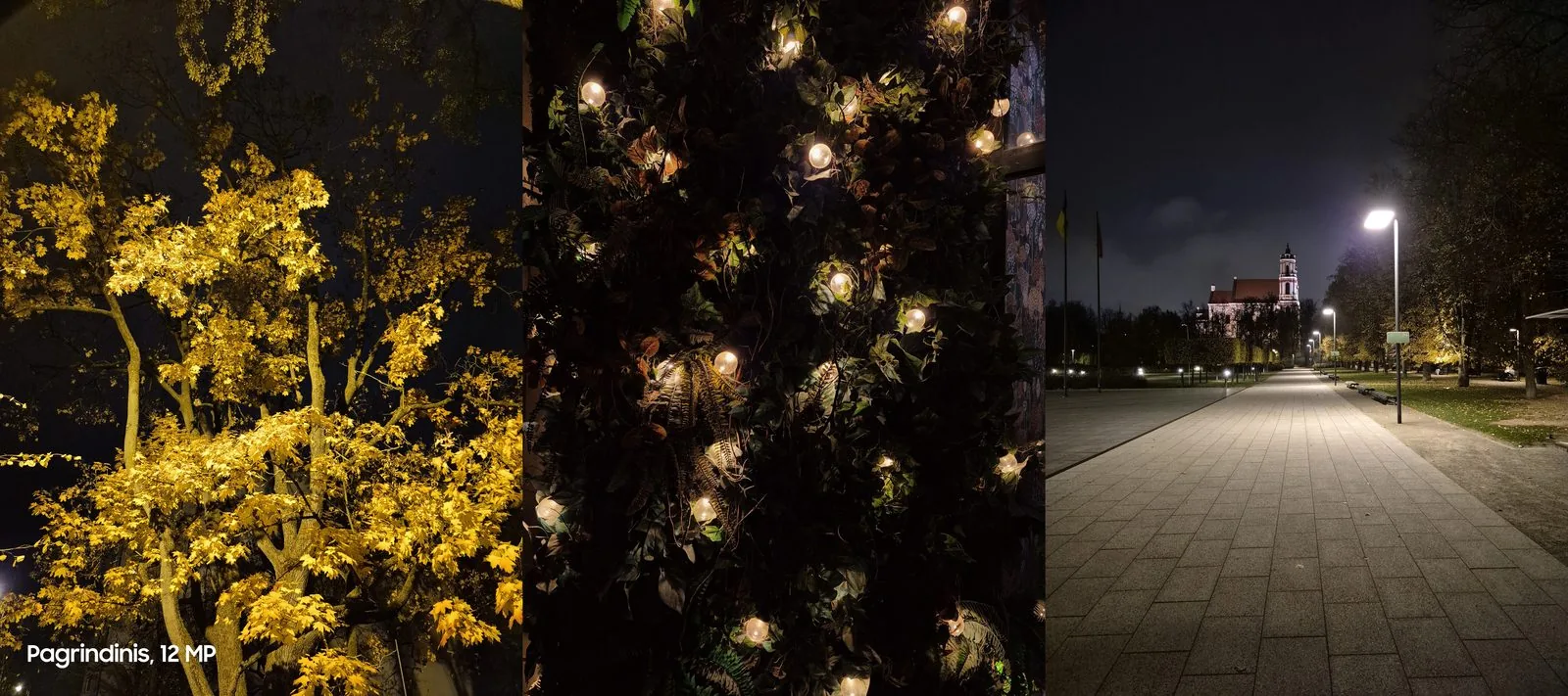 Galaxy S24 FE night photography sample